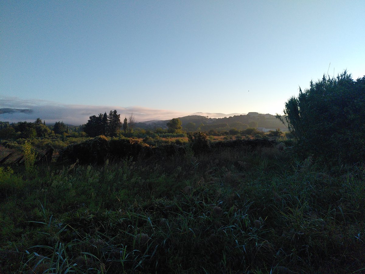 IMG_20230914_074741-1200