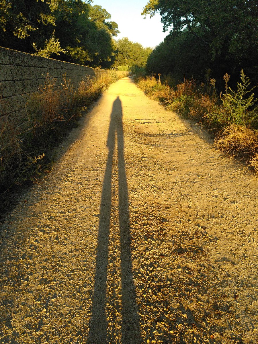 IMG_20230914_074924-1200