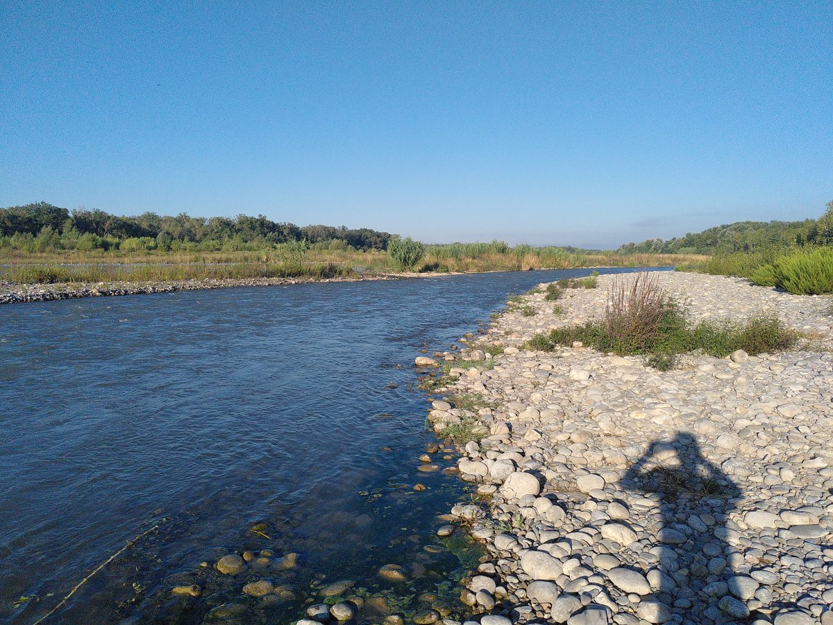 IMG_20230914_084549-1200