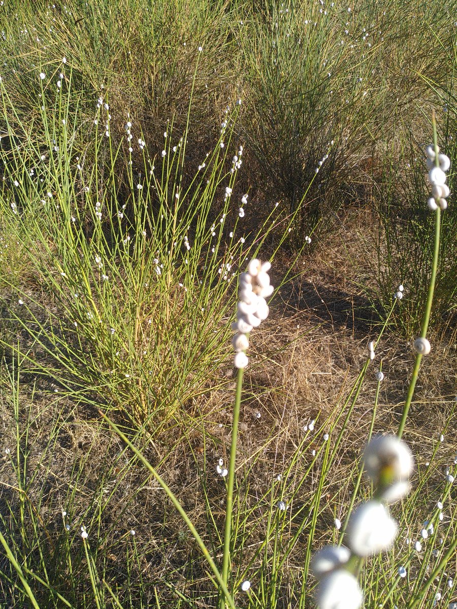 IMG_20230914_091938-1200