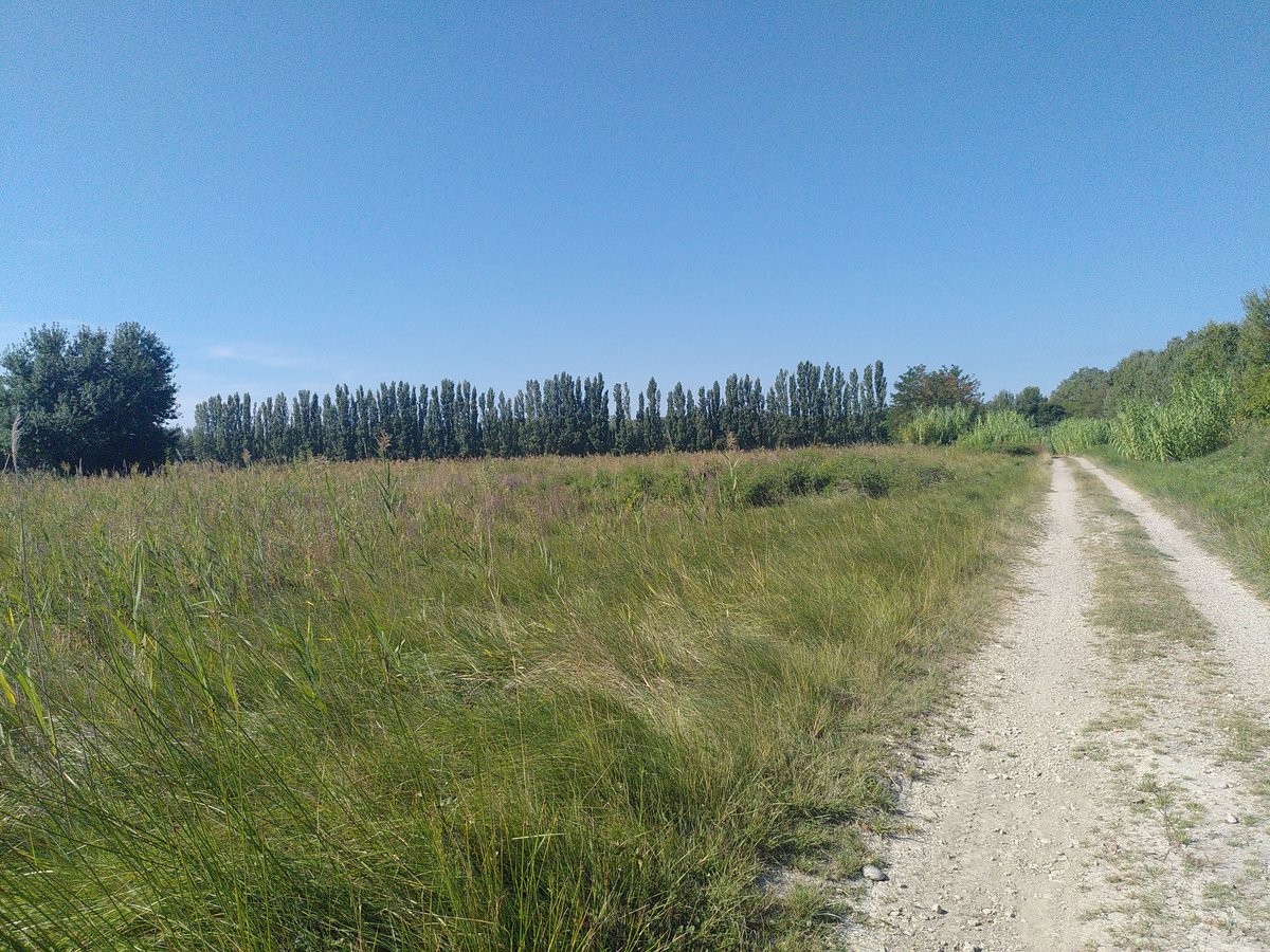 IMG_20230914_111100-1200