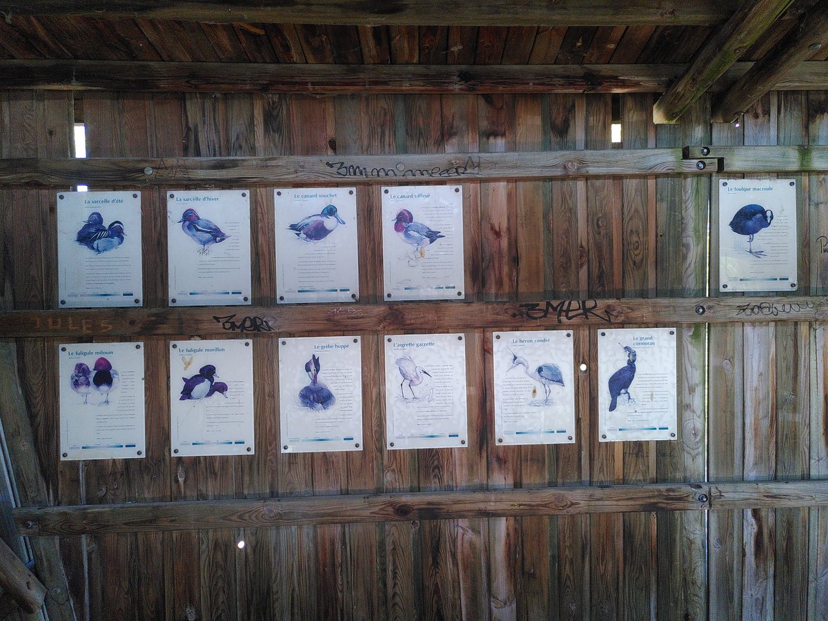 IMG_20230914_115714-1200