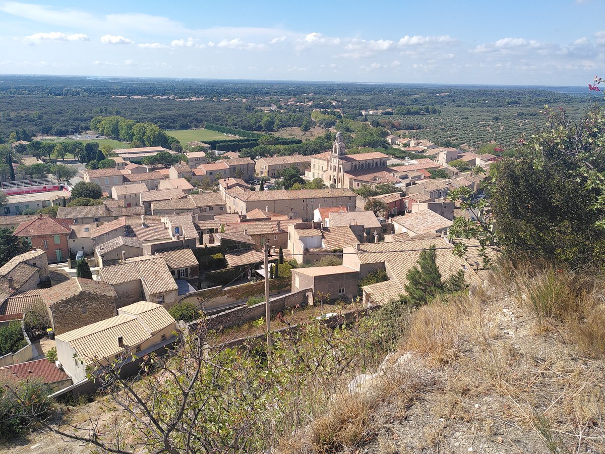 IMG_20230915_121611-1200