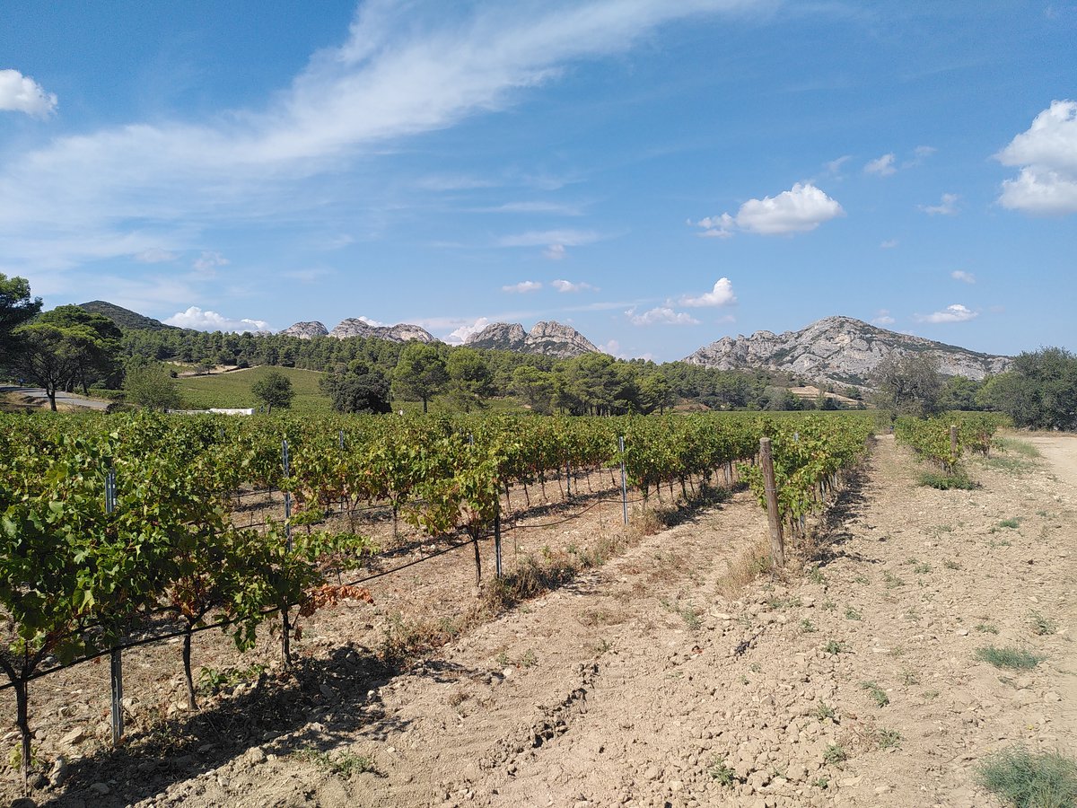 IMG_20230915_144116-1200