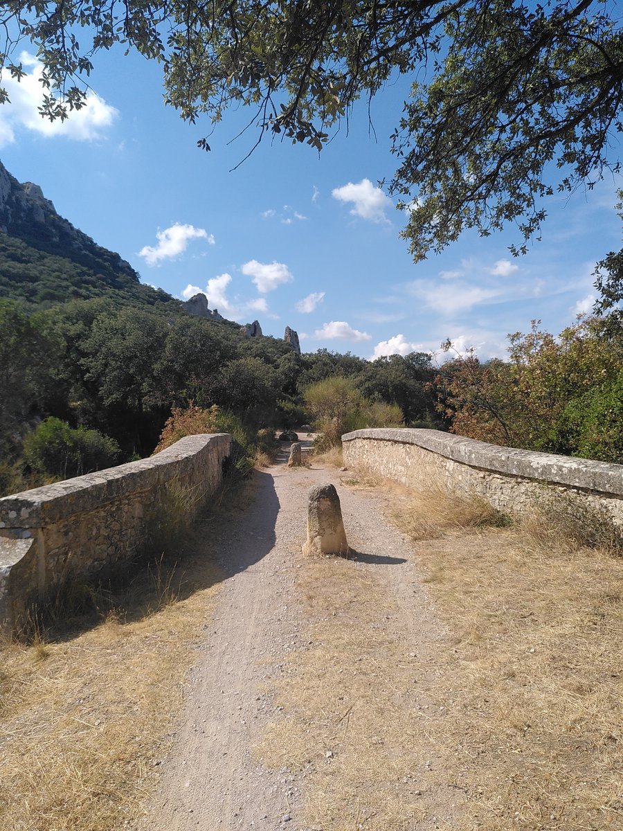 IMG_20230915_151230-1200