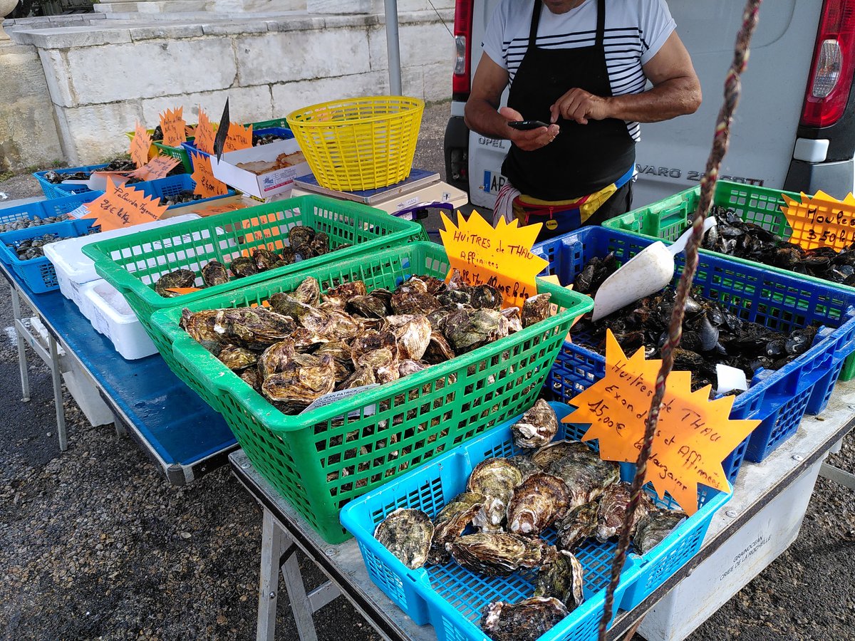 IMG_20230916_100113-1200