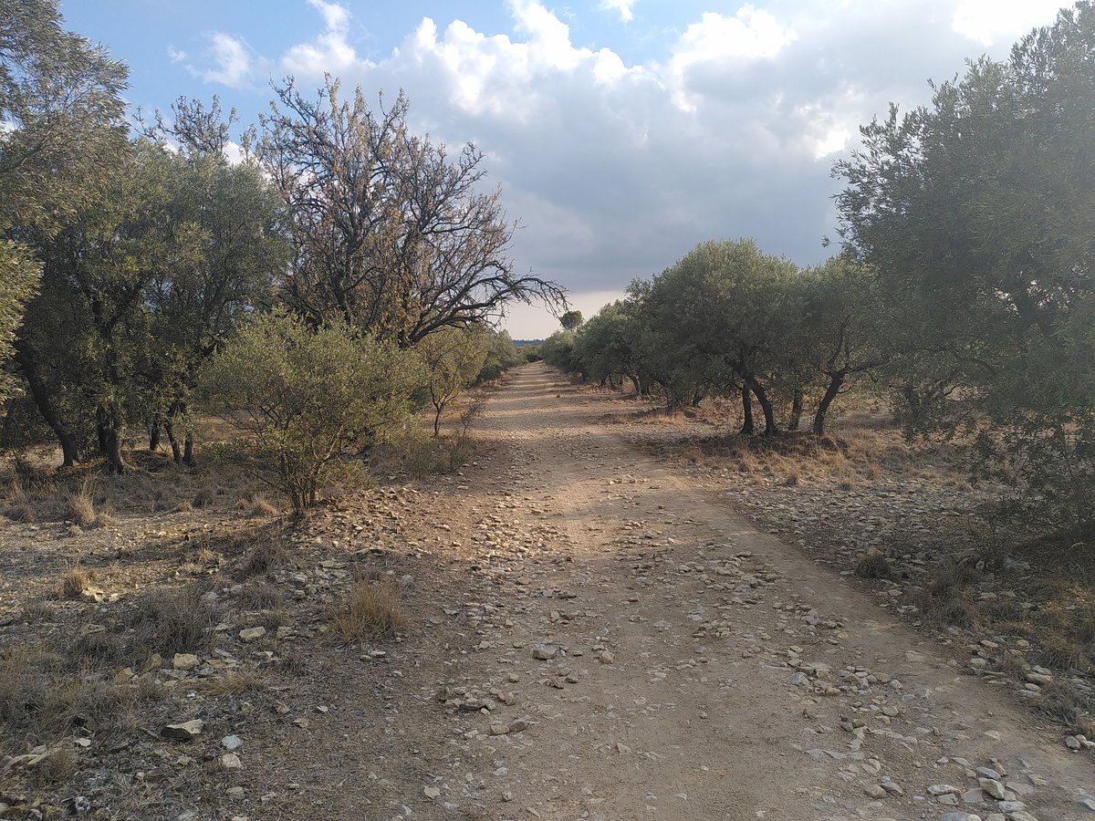 IMG_20230916_180849-1200